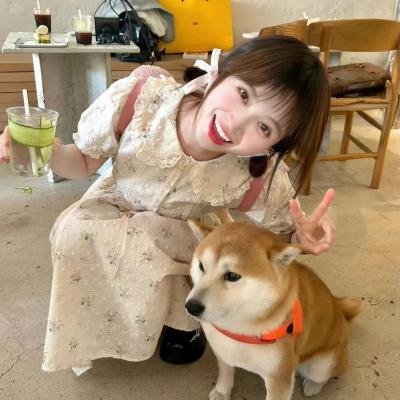哈林四女子第二季